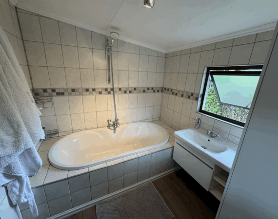 Vaal House - Main Bathroom